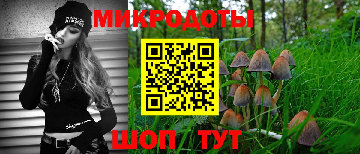 Псилоцибиновые грибы мицелий Ипатово